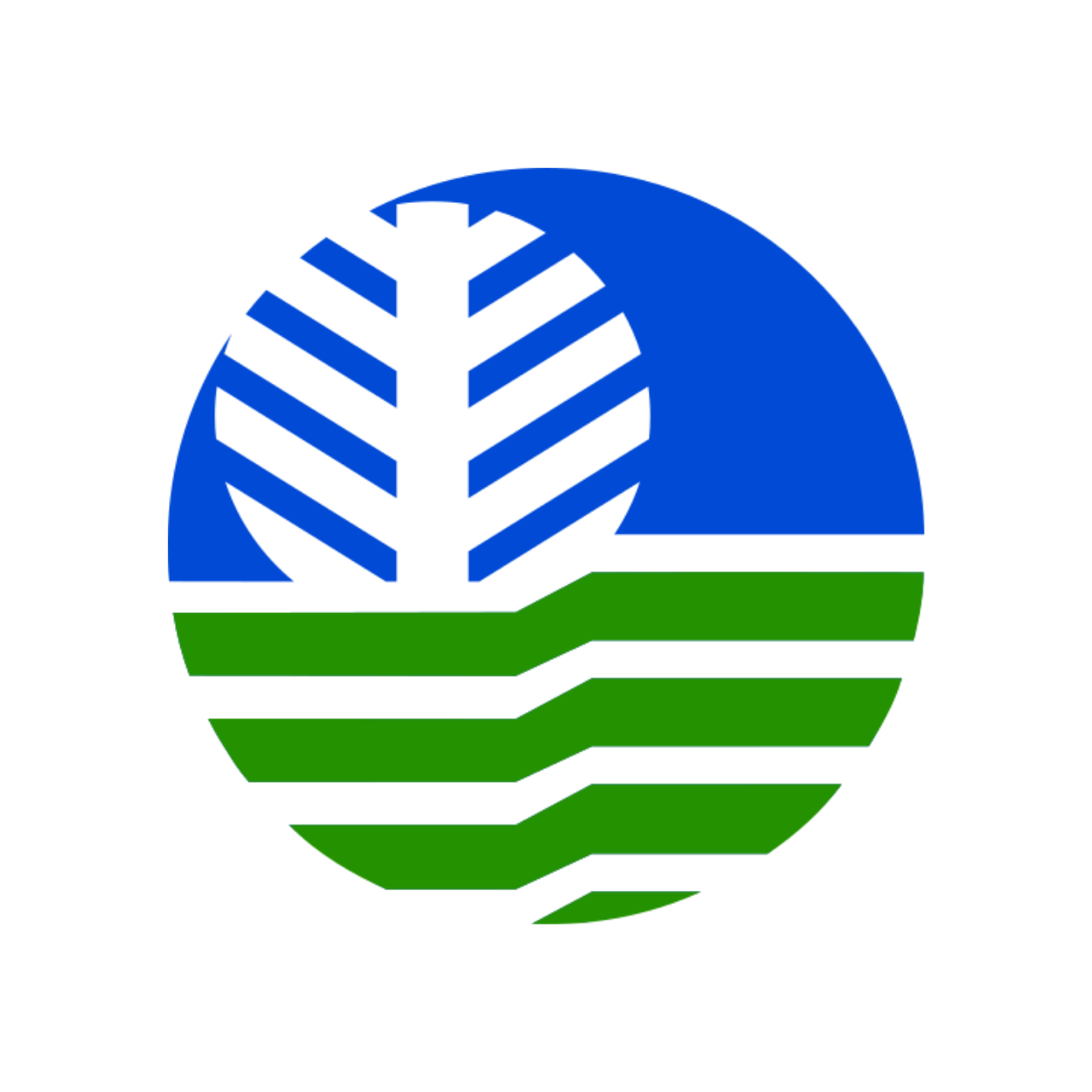 DENR Logo